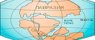 amerikanskiy kontinent