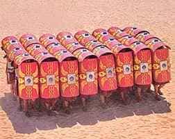 Testudo